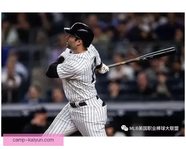 芬兰门将赫拉德茨基表现稳健，成为球队防线的重要支柱